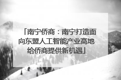 南宁侨商：南宁打造面向东盟人工智能产业高地给侨商提供新机遇