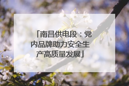 南昌供电段：党内品牌助力安全生产高质量发展