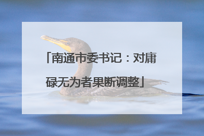 南通市委书记：对庸碌无为者果断调整