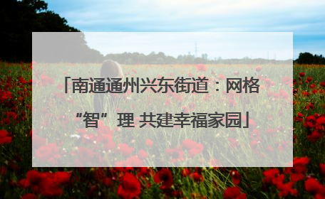 南通通州兴东街道：网格“智”理 共建幸福家园
