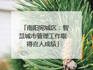 南阳宛城区：智慧城市管理工作取得喜人成绩