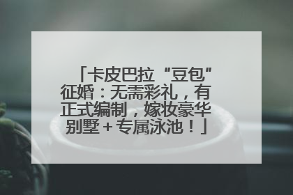 卡皮巴拉“豆包”征婚：无需彩礼，有正式编制，嫁妆豪华别墅＋专属泳池！