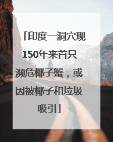 印度一洞穴现150年来首只濒危椰子蟹，或因被椰子和垃圾吸引
