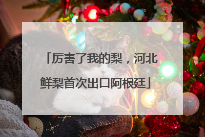 厉害了我的梨，河北鲜梨首次出口阿根廷