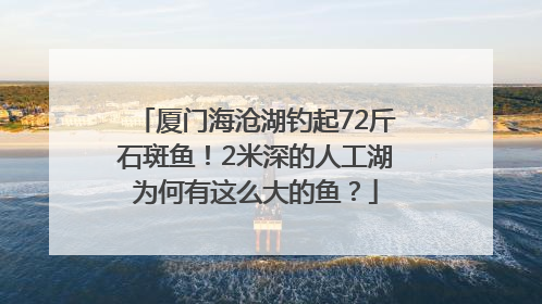 厦门海沧湖钓起72斤石斑鱼！2米深的人工湖为何有这么大的鱼？