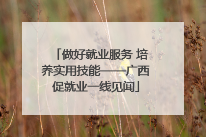 做好就业服务 培养实用技能——广西促就业一线见闻