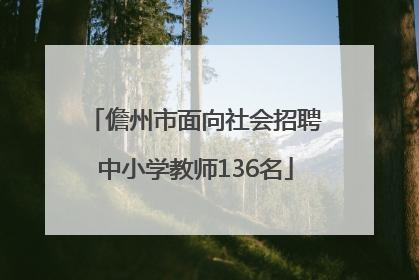 儋州市面向社会招聘中小学教师136名