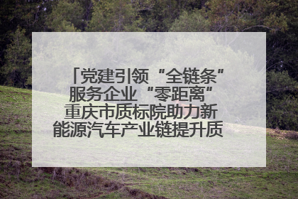 党建引领“全链条” 服务企业“零距离” 重庆市质标院助力新能源汽车产业链提升质量管理水平