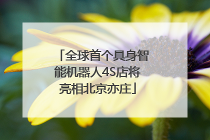 全球首个具身智能机器人4S店将亮相北京亦庄