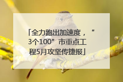 全力跑出加速度，“3个100”市重点工程5月攻坚传捷报