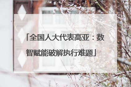 全国人大代表高亚：数智赋能破解执行难题