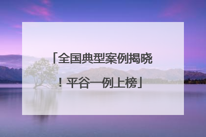 全国典型案例揭晓！平谷一例上榜