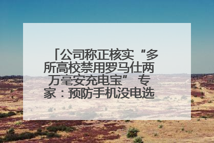 公司称正核实“多所高校禁用罗马仕两万毫安充电宝” 专家：预防手机没电选中等体积产品即可