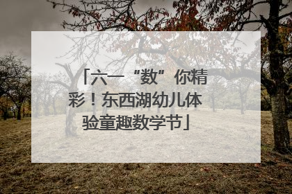 六一“数”你精彩！东西湖幼儿体验童趣数学节
