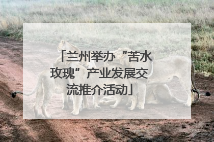 兰州举办“苦水玫瑰”产业发展交流推介活动