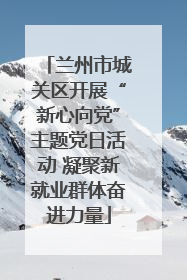 兰州市城关区开展“新心向党”主题党日活动 凝聚新就业群体奋进力量