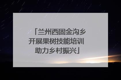 兰州西固金沟乡开展果树技能培训 助力乡村振兴