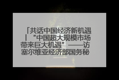 共话中国经济新机遇丨“中国超大规模市场带来巨大机遇”——访塞尔维亚经济部国务秘书尼科利奇