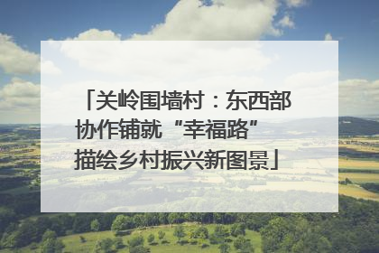 关岭围墙村：东西部协作铺就“幸福路” 描绘乡村振兴新图景