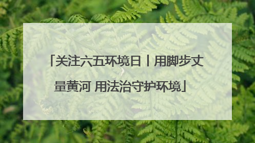 关注六五环境日丨用脚步丈量黄河 用法治守护环境
