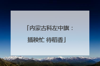 内蒙古科左中旗：插秧忙 待稻香