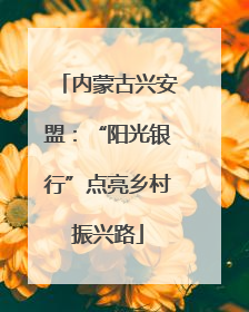 内蒙古兴安盟：“阳光银行”点亮乡村振兴路