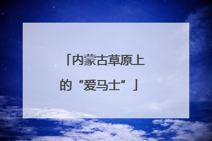 内蒙古草原上的“爱马士”