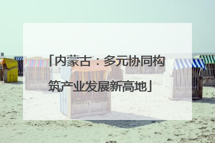 内蒙古：多元协同构筑产业发展新高地