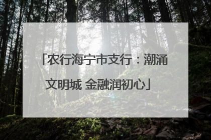 农行海宁市支行：潮涌文明城 金融润初心