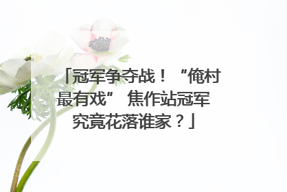 冠军争夺战！“俺村最有戏” 焦作站冠军究竟花落谁家？