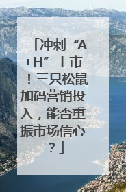 冲刺“A+H”上市！三只松鼠加码营销投入，能否重振市场信心？