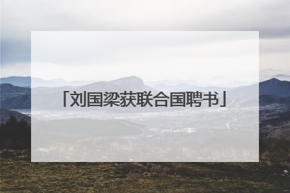 刘国梁获联合国聘书