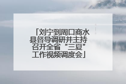 刘宁到周口商水县督导调研并主持召开全省“三夏”工作视频调度会