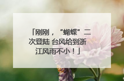 刚刚，“蝴蝶”二次登陆 台风给到浙江风雨不小！