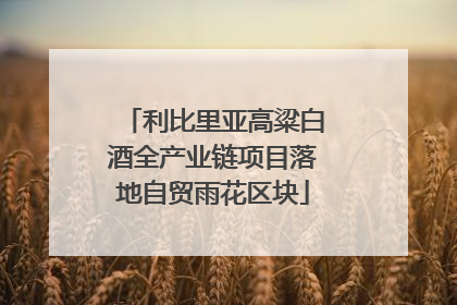 利比里亚高粱白酒全产业链项目落地自贸雨花区块