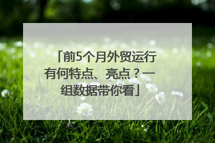 前5个月外贸运行有何特点、亮点？一组数据带你看