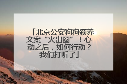 北京公安狗狗领养文案“火出圈”！心动之后，如何行动？我们打听了