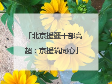北京援疆干部高超：京援筑同心