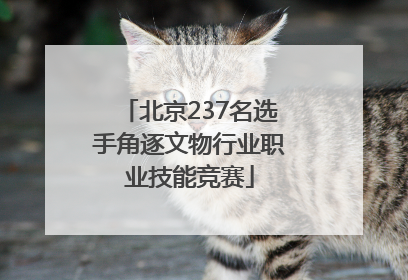北京237名选手角逐文物行业职业技能竞赛