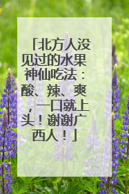 北方人没见过的水果神仙吃法：酸、辣、爽，一口就上头！谢谢广西人！