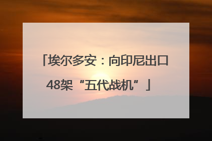 埃尔多安：向印尼出口48架“五代战机”