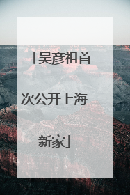 吴彦祖首次公开上海新家