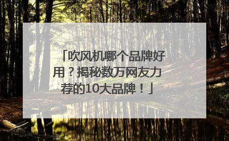 吹风机哪个品牌好用？揭秘数万网友力荐的10大品牌！