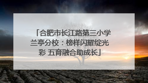 合肥市长江路第三小学兰亭分校：榜样闪耀绽光彩 五育融合助成长