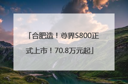 合肥造！尊界S800正式上市！70.8万元起