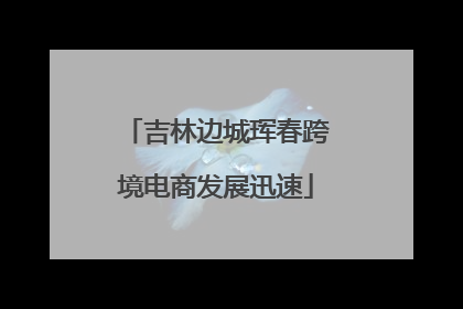 吉林边城珲春跨境电商发展迅速