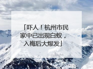 吓人！杭州市民家中已出现白蚁，入梅后大爆发