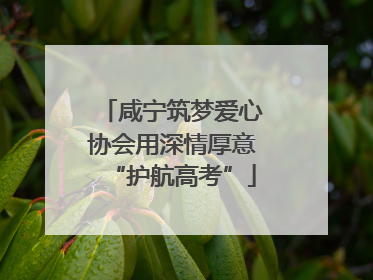 咸宁筑梦爱心协会用深情厚意“护航高考”