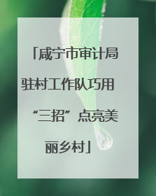 咸宁市审计局驻村工作队巧用“三招”点亮美丽乡村