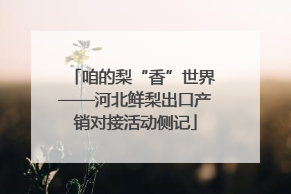 咱的梨“香”世界——河北鲜梨出口产销对接活动侧记
